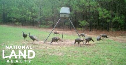 Land in Autauga County, Alabama