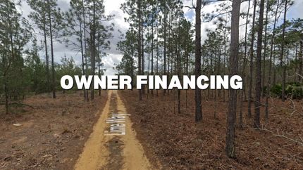 Undeveloped Land in Putnam County, Florida