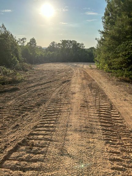Undeveloped Land in Marion County, Alabama