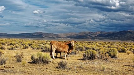 Undeveloped Land in Hudspeth County, Texas