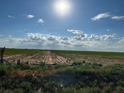 Timberland Property in Hockley County, Texas
