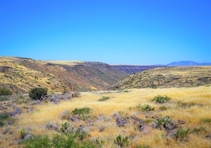 Farm and Ranch for sale in Hudspeth County, Texas