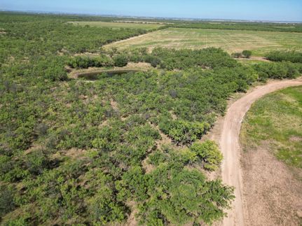 Farm and Ranch in Callahan County, Texas
