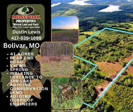 Undeveloped Land in Polk County, Missouri