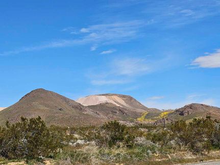 Farm and Ranch in Kern County, California