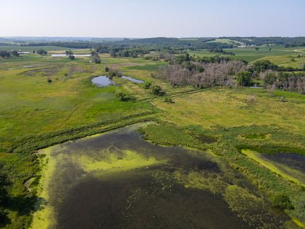 Undeveloped Land in Lafayette County, Wisconsin