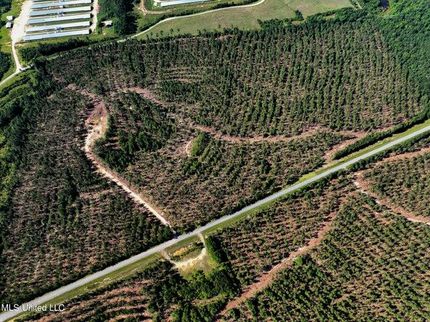 Farm and Ranch for sale in Wayne County, Mississippi