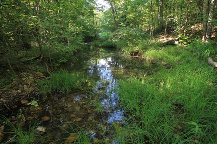 Hunting Property in Madison County, Missouri