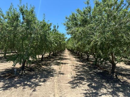 Timberland Property in Fresno County, California