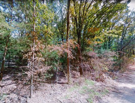 Homesite in Franklin County, Texas