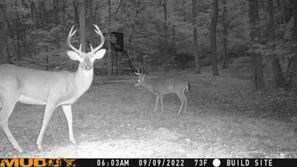 Recreational Property in Putnam County, Tennessee