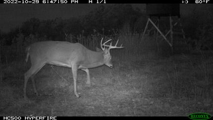 Land in Ralls County, Missouri