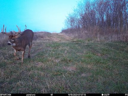 Timberland Property in Harrison County, Missouri