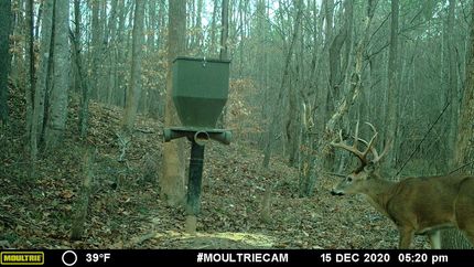 Recreational Property in Rockingham County, North Carolina