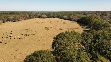 Farm and Ranch in Mobile County, Alabama