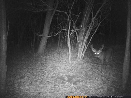Farm and Ranch in Frederick County, Virginia