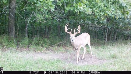 Farm and Ranch in Davis County, Iowa