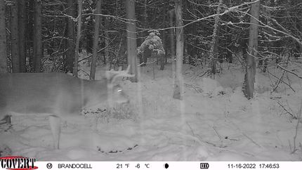 Undeveloped Land in Price County, Wisconsin