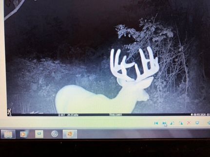 Lakefront Property in Allegan County, Michigan
