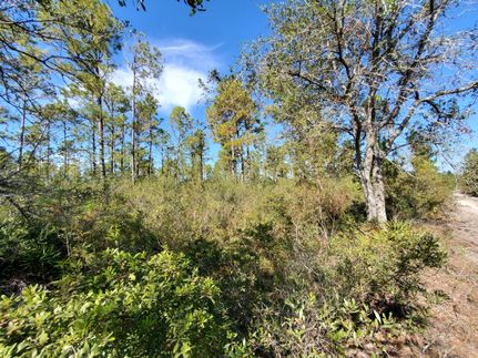 Land for sale in Madison County, Florida