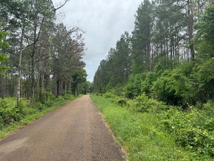 Timberland Property in Pike County, Mississippi