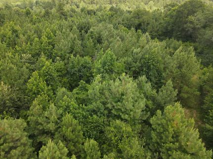 Farm and Ranch in Union Parish, Louisiana