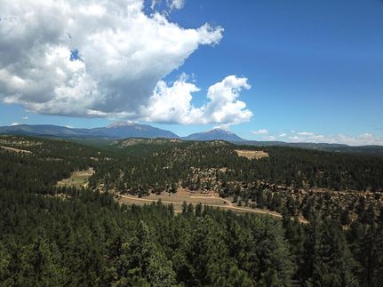 Timberland Property in Las Animas County, Colorado