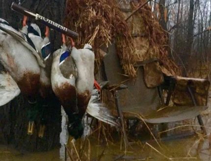 Hunting Property in Chariton County, Missouri