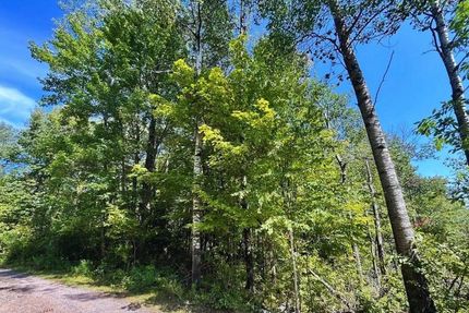 Undeveloped Land in Mille Lacs County, Minnesota