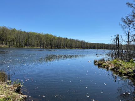 Undeveloped Land in Wayne County, Pennsylvania