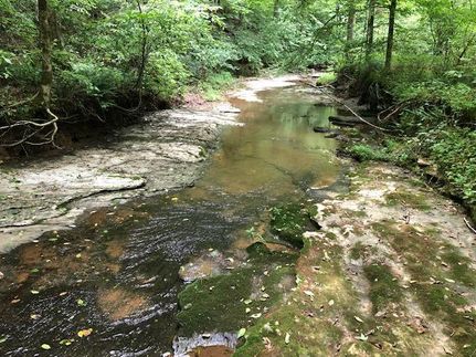 Farm and Ranch in Giles County, Tennessee