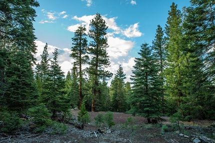 Undeveloped Land in Modoc County, California