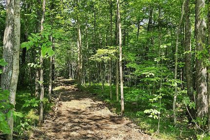 Hunting Property in Sawyer County, Wisconsin