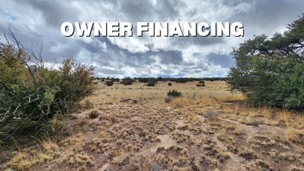 Timberland Property in Apache County, Arizona