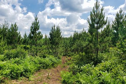 Recreational Property in Oneida County, Wisconsin