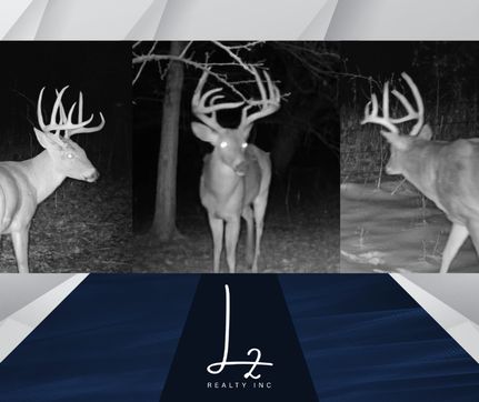 Farm and Ranch in Sumner County, Kansas