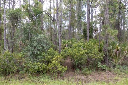 Timberland Property in Charlotte County, Florida