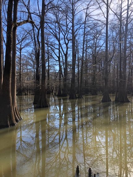 Recreational Property in Claiborne County, Mississippi