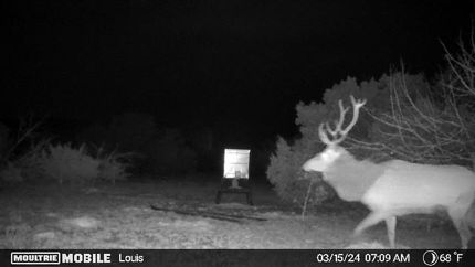 Hunting Property in Edwards County, Texas