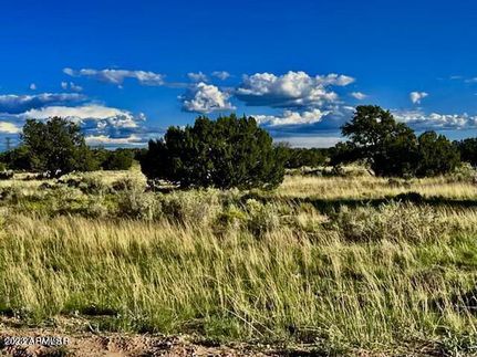 Farm and Ranch in Apache County, Arizona