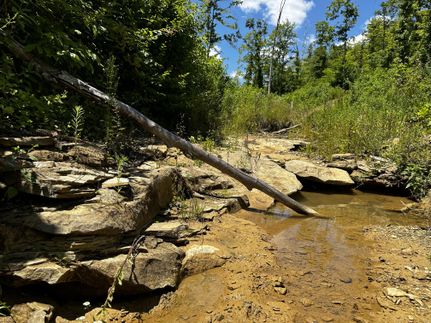 Undeveloped Land in Vinton County, Ohio