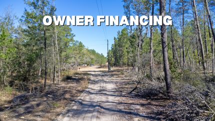 Homesite in Putnam County, Florida