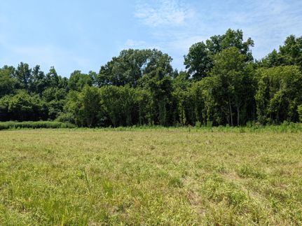 Land in Chesterfield County, South Carolina