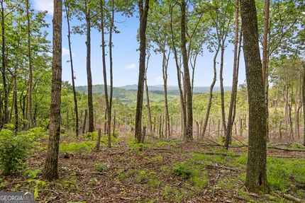 Land for sale in Gilmer County, Georgia