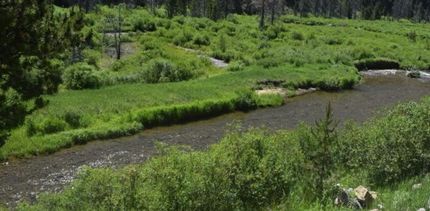 Timberland Property in Fremont County, Idaho