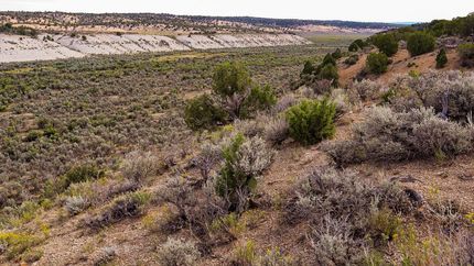 Farm and Ranch in Rio Blanco County, Colorado