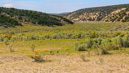 Timberland Property in Rio Blanco County, Colorado