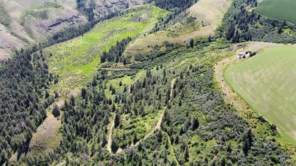 Undeveloped Land in Nez Perce County, Idaho