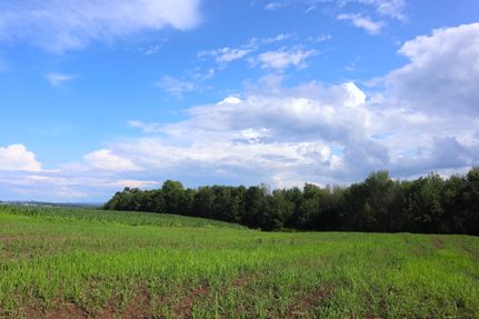 Land in Montgomery County, New York