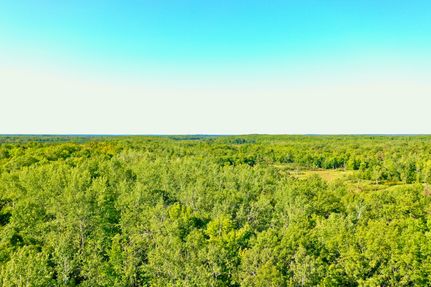 Timberland Property in Pine County, Minnesota